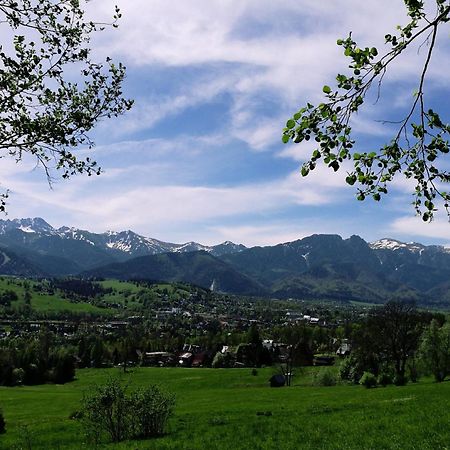 Vila Quality House - Cisza Nad Dolina Zakopane Exteriér fotografie